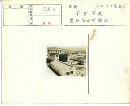 白色平顶建筑与中心大树.jpg