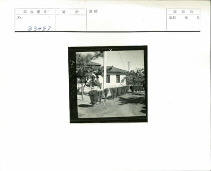 白色斜顶建筑松树庭院景观.jpg