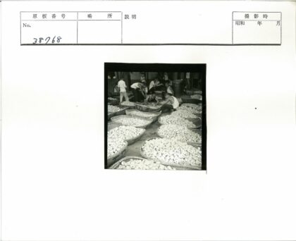 白色篮子里的室内工作场景.jpg