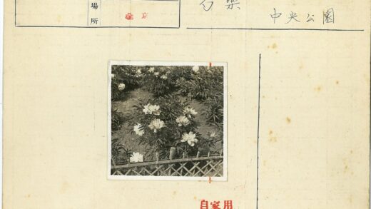 白色花丛围栏花园自然景观.jpg