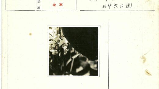 白花特写黑色背景.jpg