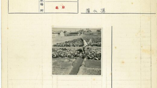 白菜地劳作与田园风光.jpg