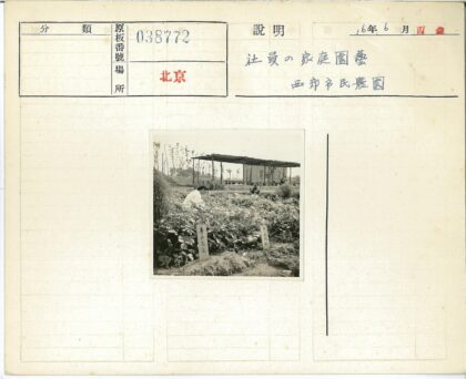 白衣人漫步花园与茅草屋远景.jpg