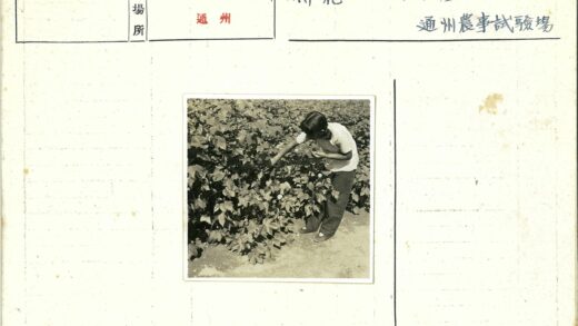 白衬衫男子触摸绿叶植物.jpg