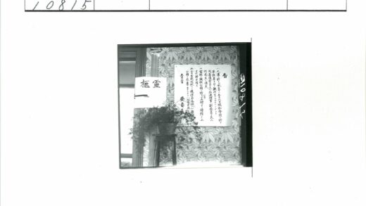 盆栽与日文海报黑白照.jpg