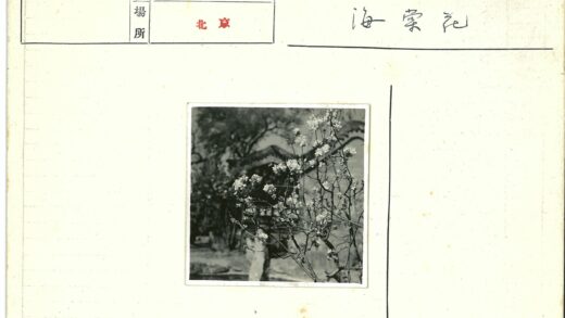 盛开花枝与弯曲屋顶风景.jpg