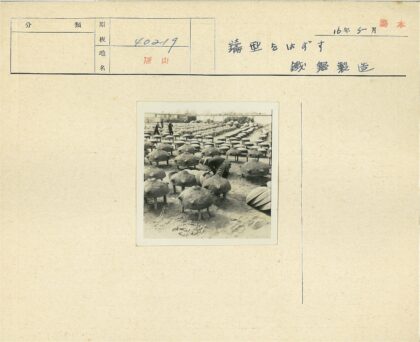 看台圆顶建筑与沙地维护场景.jpg