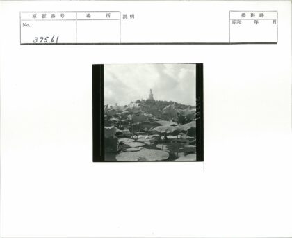 睡莲宝塔山景云空.jpg