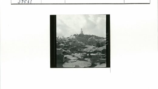 睡莲宝塔山景云空.jpg