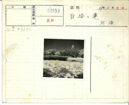 睡莲小船木桥山间佛塔.jpg