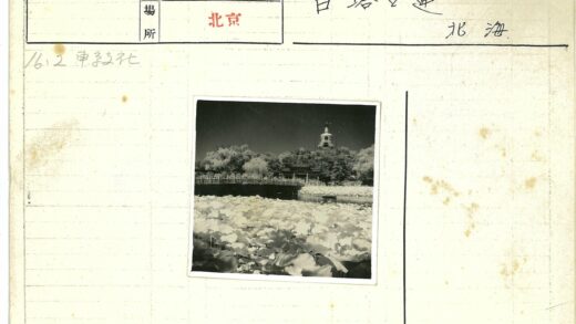 睡莲小船木桥山间佛塔.jpg