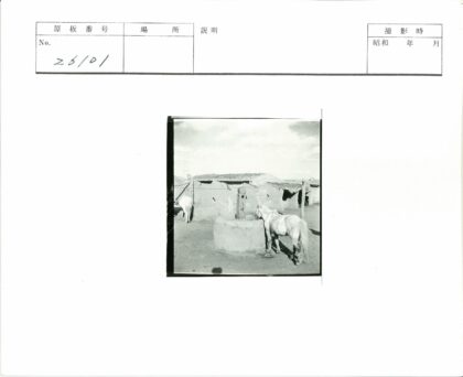 石井旁两马与泥墙丘陵.jpg