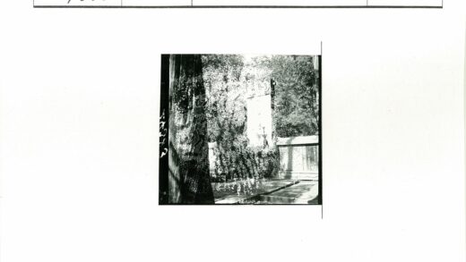 石刻纪念碑与林间石径.jpg