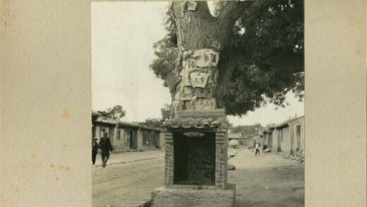 石台纸树与老街行人.jpg