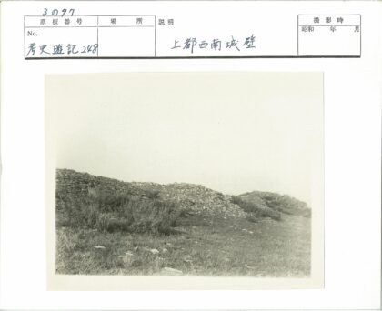 石墙与自然植被景观.jpg