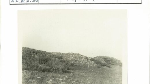 石墙与自然植被景观.jpg