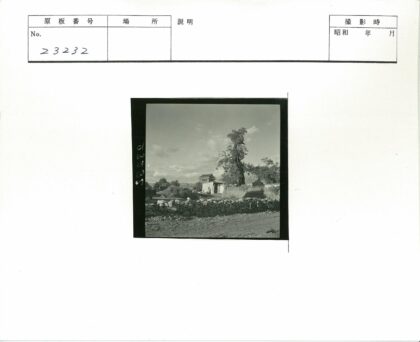石墙古树与云空传统建筑.jpg