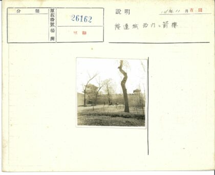 石墙旁人群与枯树风景.jpg