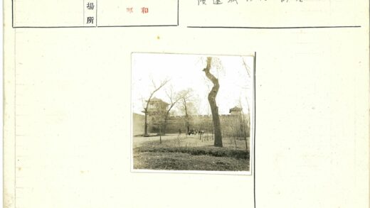 石墙旁人群与枯树风景.jpg