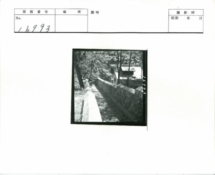 石墙树影小路建筑.jpg