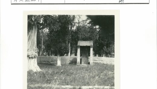 石墙砖瓦屋绿树环绕.jpg