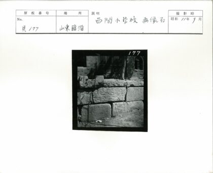 石墙纹饰与树影特写.jpg