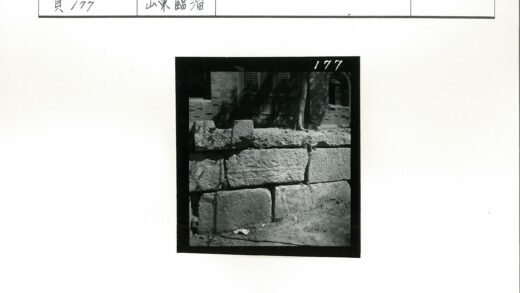 石墙纹饰与树影特写.jpg