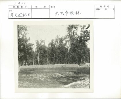 石墙绿树稀疏草地.jpg