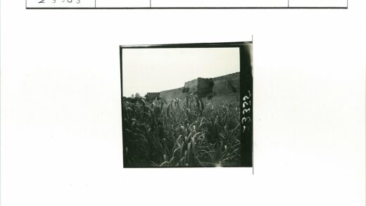 石墙草地阴天树木景观.jpg