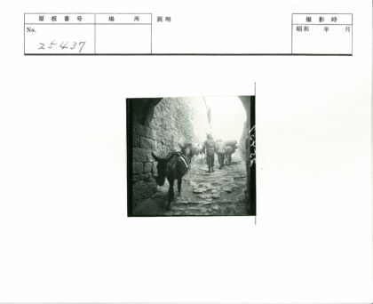 石墙驴队驮运小径.jpg