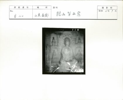 石壁雕刻佛像群与植物前景.jpg