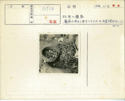 石头树叶麻袋碎片地面.jpg