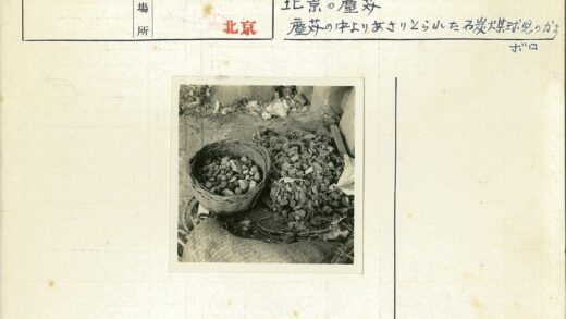 石头树叶麻袋碎片地面.jpg