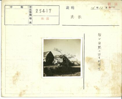 石屋与枯树的乡村风景.jpg