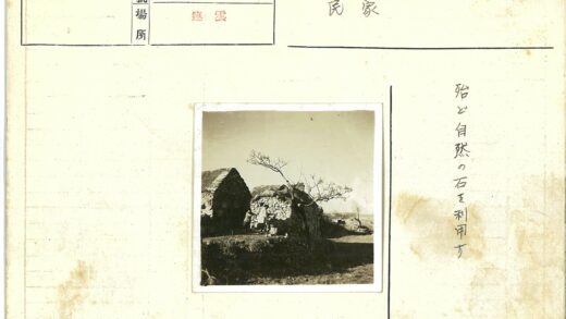 石屋与枯树的乡村风景.jpg