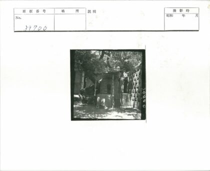 石屋瓦顶林间庭院.jpg