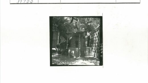 石屋瓦顶林间庭院.jpg