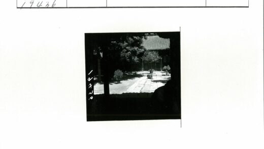 石径盆栽树荫庭院.jpg