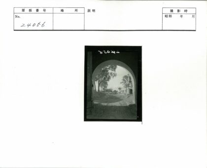 石拱门远眺林荫土路.jpg