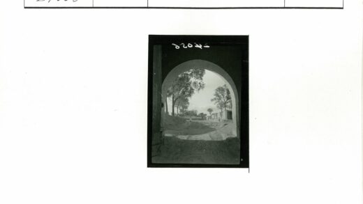 石拱门远眺林荫土路.jpg