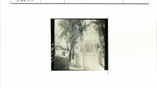 石板小径古树瓦屋风光.jpg