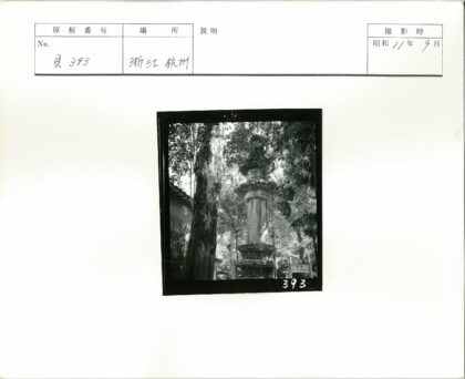 石柱与森林中的斜顶建筑.jpg