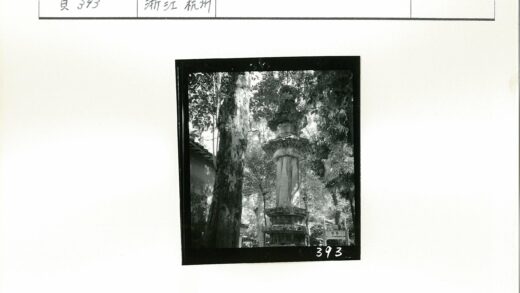 石柱与森林中的斜顶建筑.jpg
