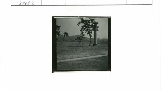 石柱松树远山砖路草地.jpg