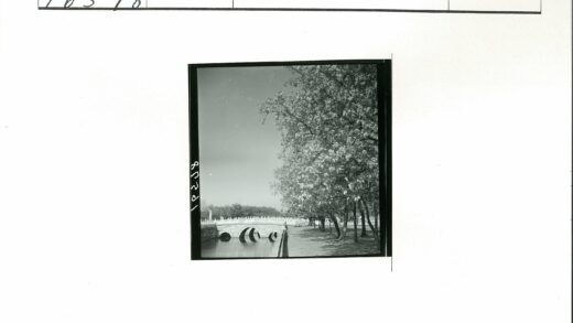 石桥绿树映水景.jpg