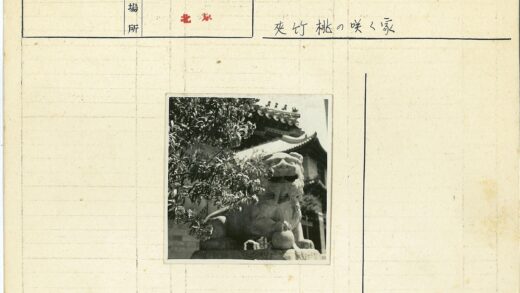 石狮与花掩传统屋顶.jpg