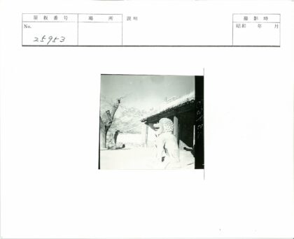 石狮古树与山脉建筑景观.jpg