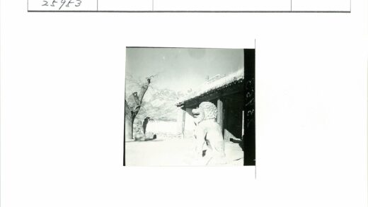 石狮古树与山脉建筑景观.jpg