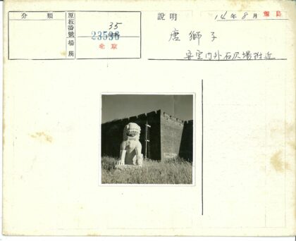 石狮雕像与砖墙梯子.jpg