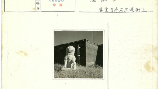石狮雕像与砖墙梯子.jpg